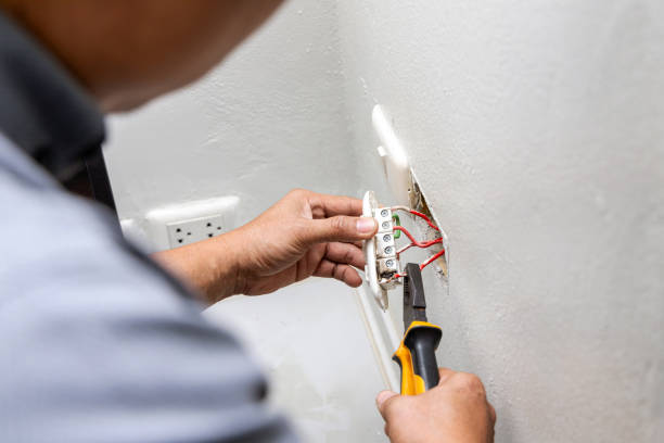 Best Electrical Upgrades for Homes  in Black Hammock, FL