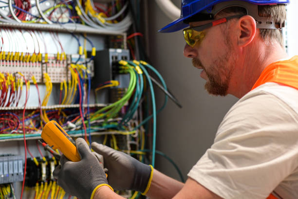 Best Electric Panel Repair  in Black Hammock, FL